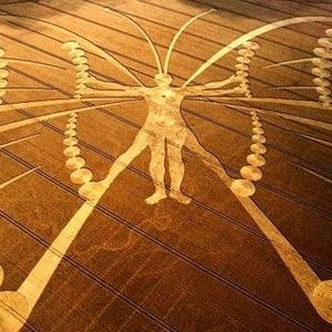 Meet your Posher, Jerry